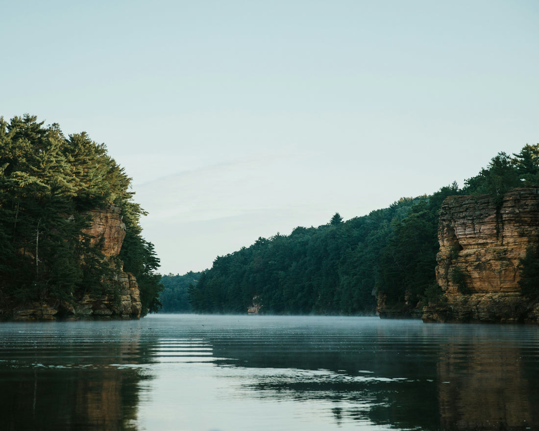Dog-Friendly Road Trips Across America: The Midwest