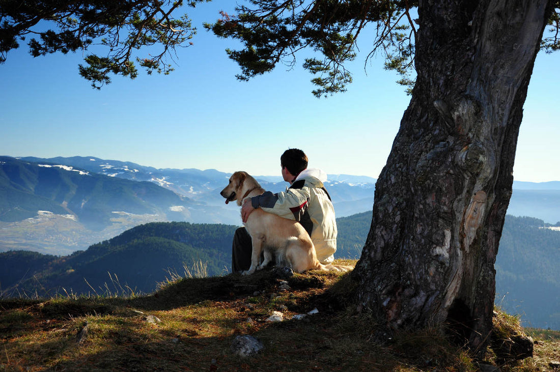 Hiking With Your Dog