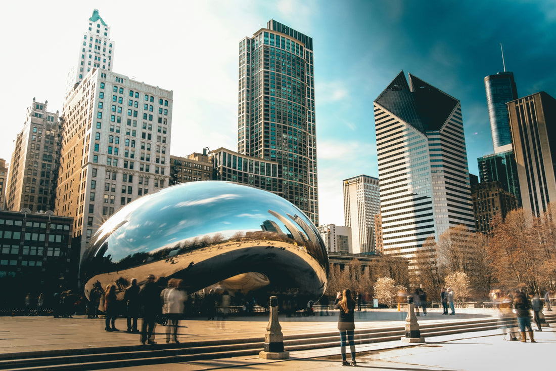 15 Dog-Friendly Adventures in Chicago: Parks, Beaches, and Hidden Gems