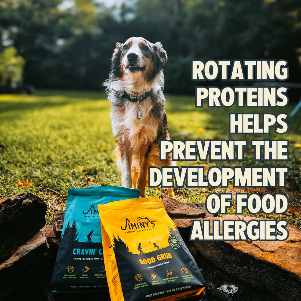 Rotation Diet