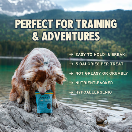 Chewy Treats — Peanut Butter & Cranberry Recipe