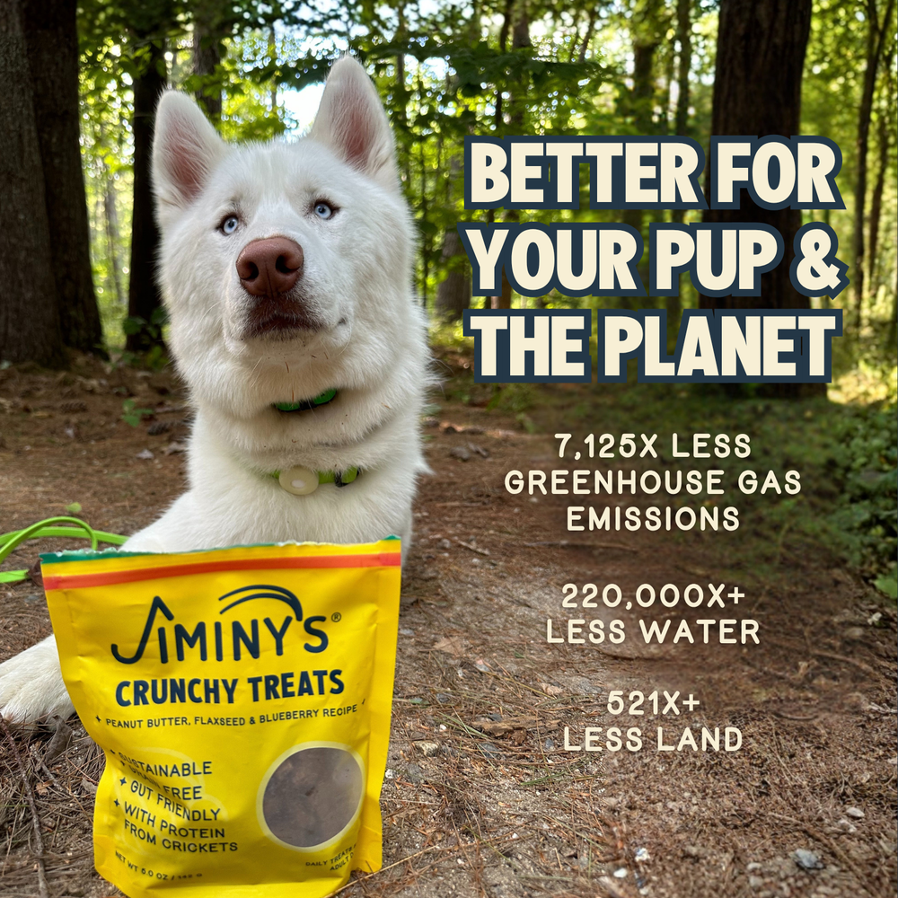 Crunchy Dog Treats Peanut Butter, Flaxseed & Blueberry Recipe