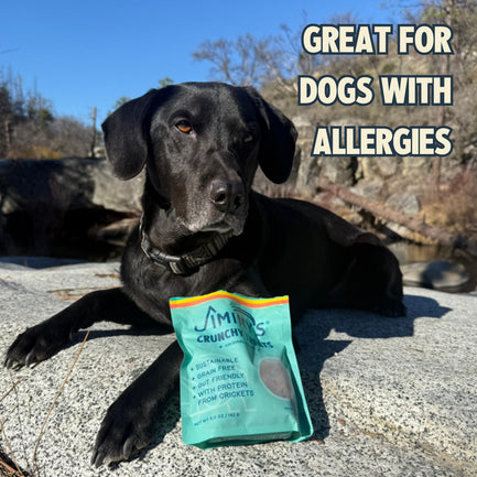 Crunchy Treats — Original Recipe