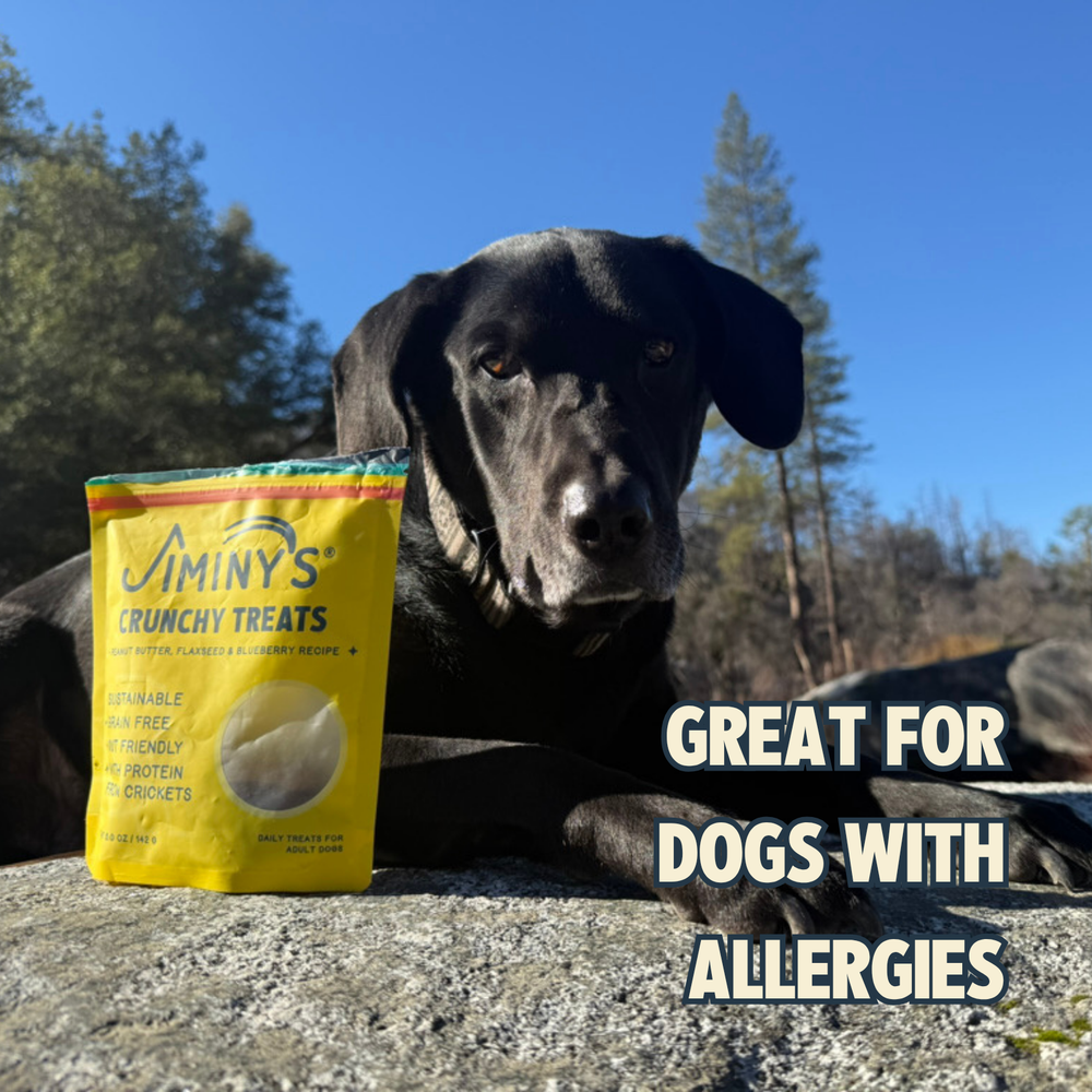 Crunchy Dog Treats Peanut Butter, Flaxseed & Blueberry Recipe