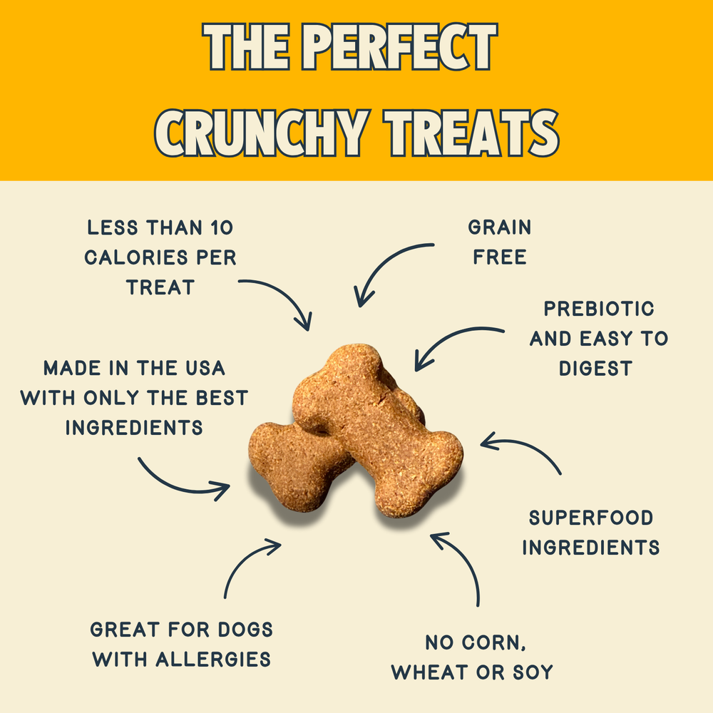 Crunchy Dog Treats Peanut Butter, Flaxseed & Blueberry Recipe