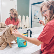 dog trying insect protein Jiminy's Dog Dental Dental Chews Small Size