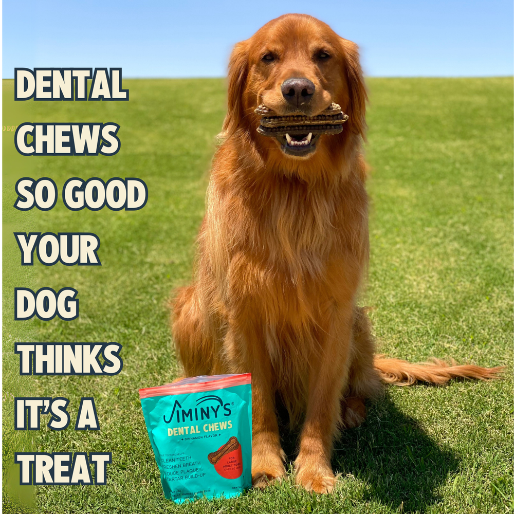Cinnamon Dental Chews Large