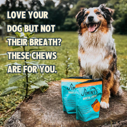 Cinnamon Dental Chews Medium