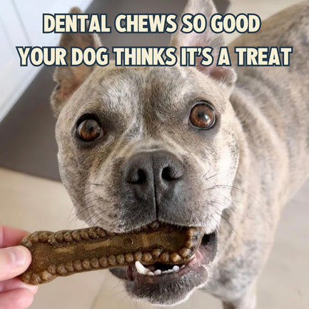 Cinnamon Dental Chews Small