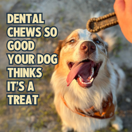 Cinnamon Dental Chews Extra Small