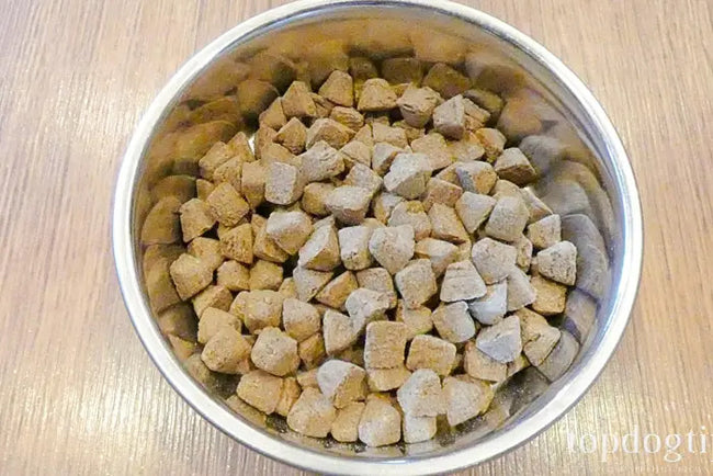 https://topdogtips.com/jiminys-insect-protein-dog-food-review/