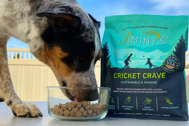 https://www.latimes.com/world-nation/story/2020-04-08/cricket-dog-bowl-exotic-luxury-pet-food