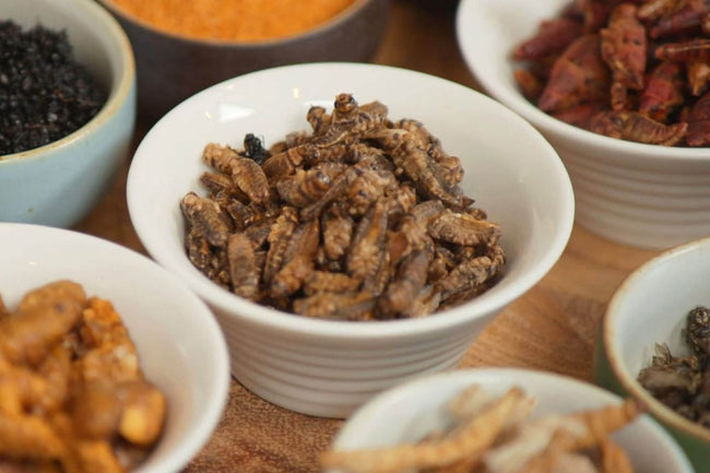 https://www.cnbc.com/2020/02/14/bug-protein-how-entrepreneurs-are-persuading-americans-to-eat-insects.html