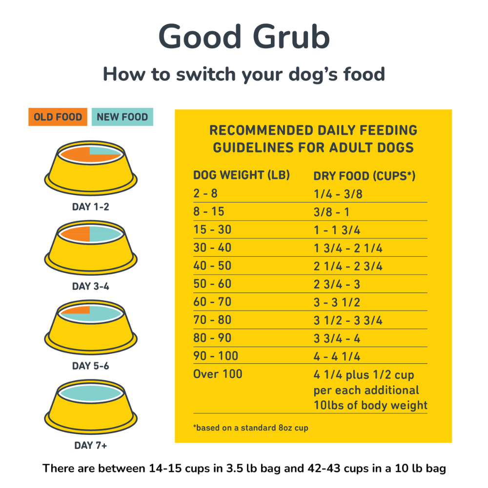 Eco-Dog Essentials Pack with Good Grub