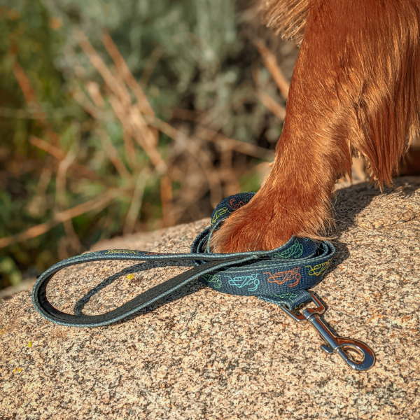 dog with Jiminy's Eco-friendly Dog Leash – Made From Recycled Material