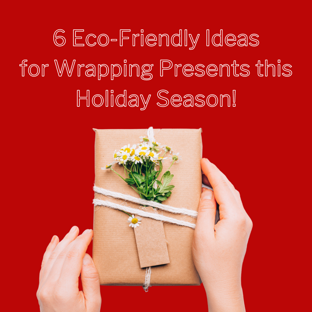 6 Eco-Friendly Ideas for Wrapping Presents this Holiday Season!
