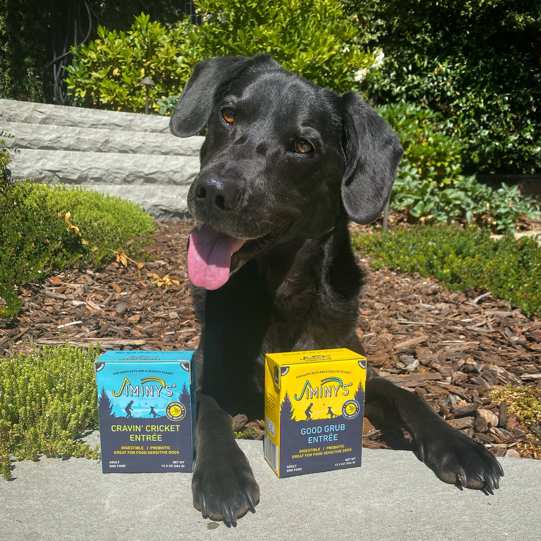 Tetra Recart: Wet Dog Food Packaging with an Environmental Edge  