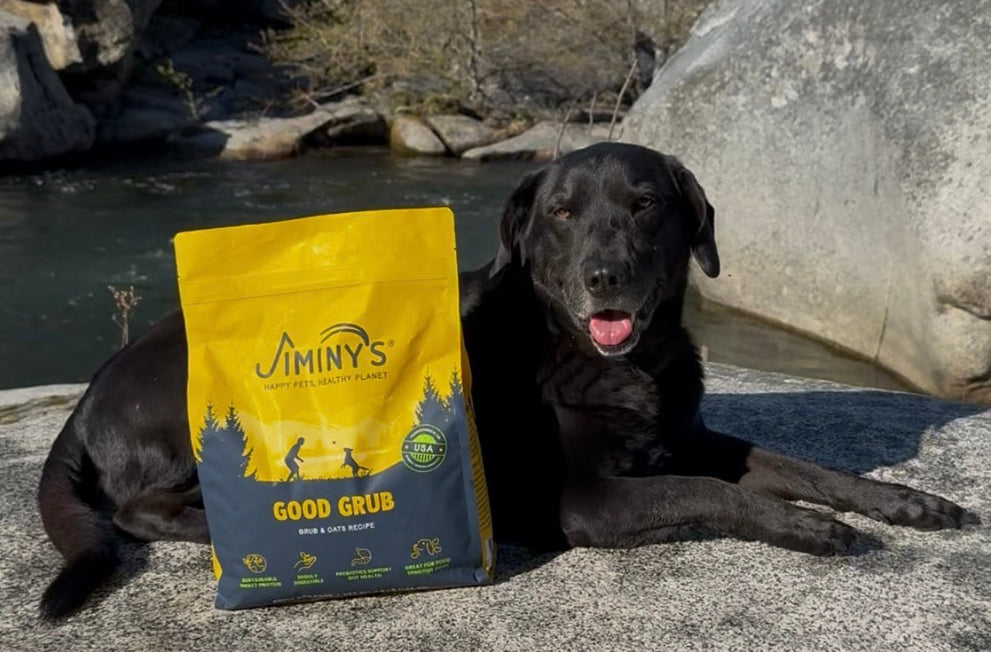 Why insect protein is a powerful hypoallergenic option for dogs