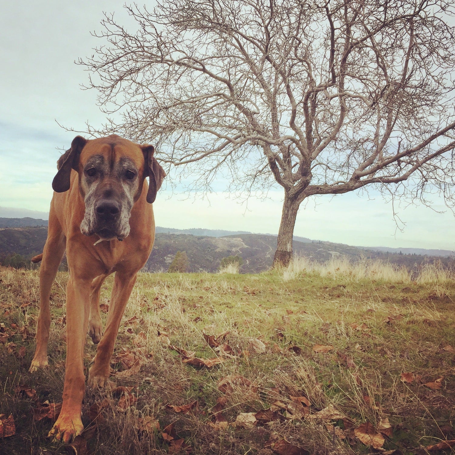 Let's make the world Greener together!