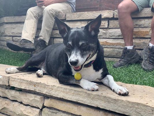 How Savannah Overcame her Food Allergies with Jiminy’s