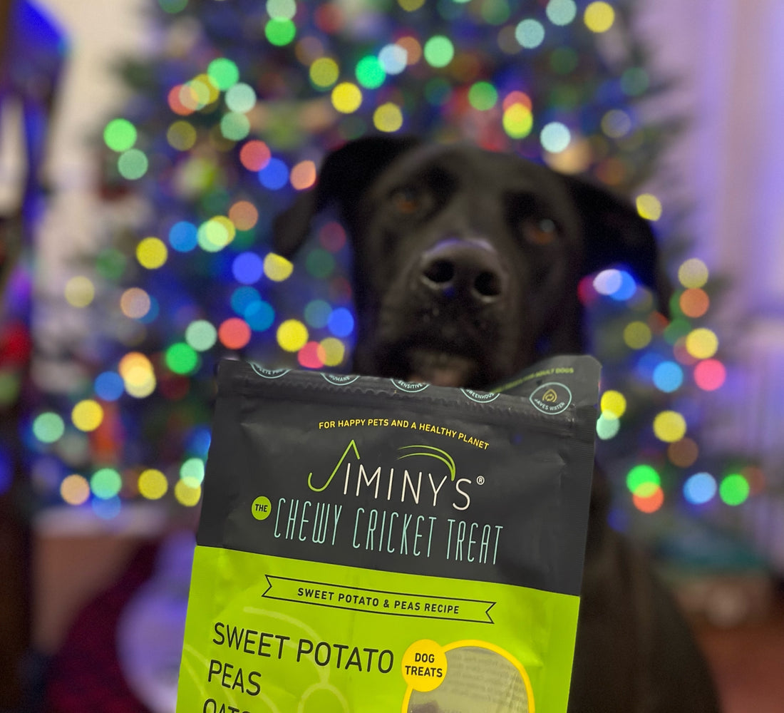 Jiminy's eco-friendly Holiday Gift Guide