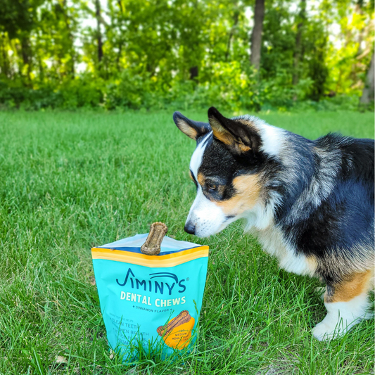 2024 PPN Editor’s Choice Award goes to Jiminy's Dental Chews