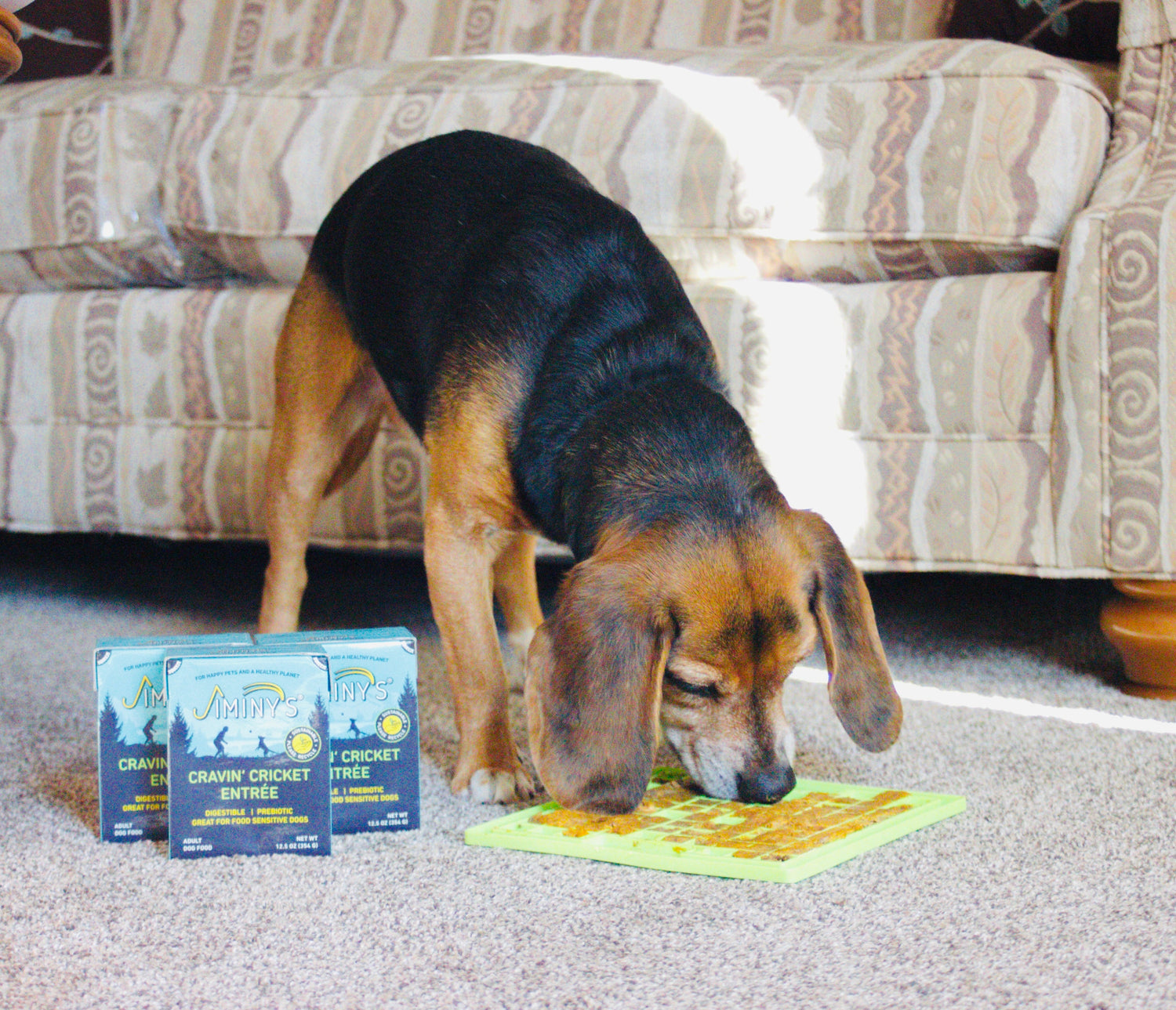 Regular Protein vs. Novel Protein DOG FOOD.JPG