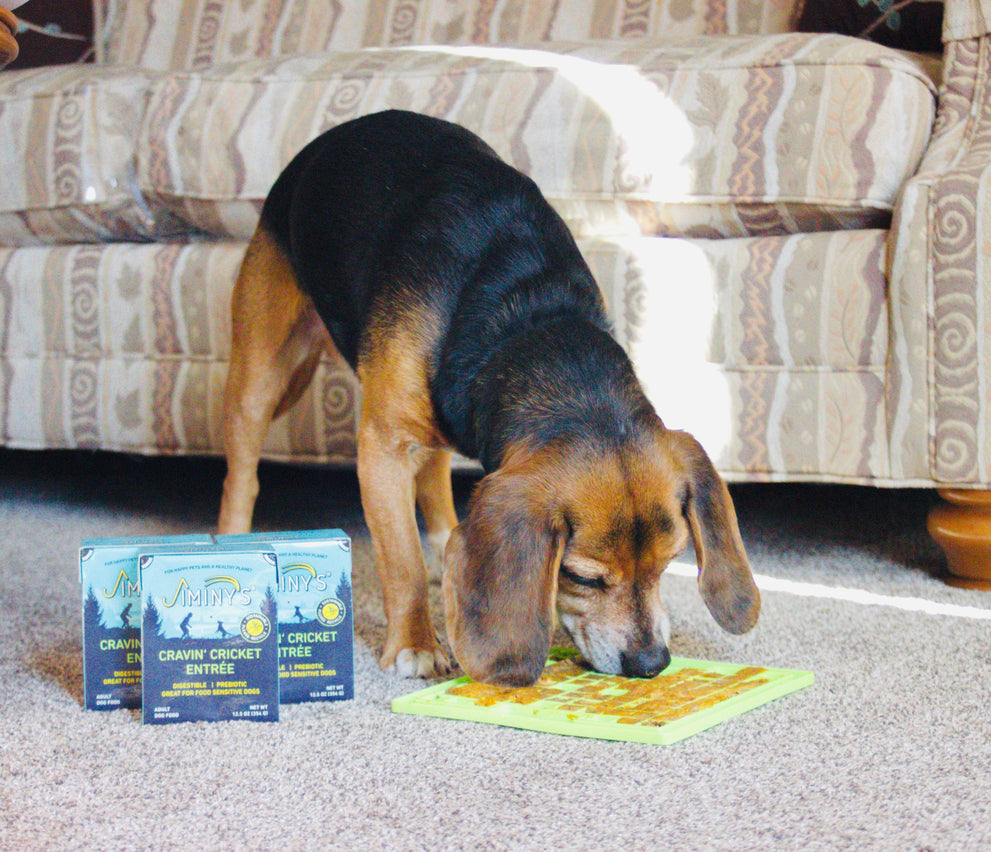 Regular Protein vs. Novel Protein DOG FOOD.JPG