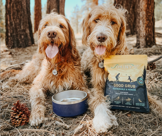 2 dogs with Jiminy's Good Grub dog food that contains Lauric Acid for your dog's Brain Health