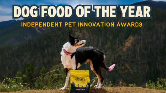 Good Grub Wins 2024 Dog Food Product of the Year