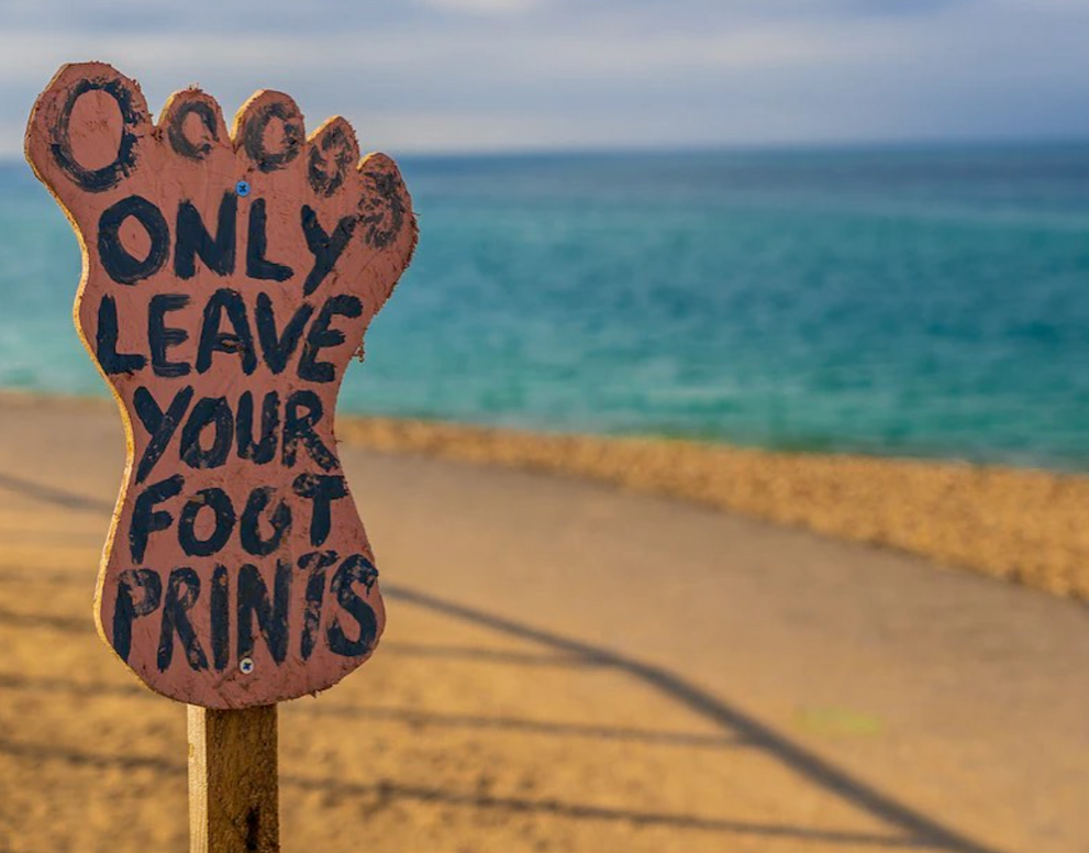 Earth Month: Simple Steps Toward an Eco-Friendly Lifestyle