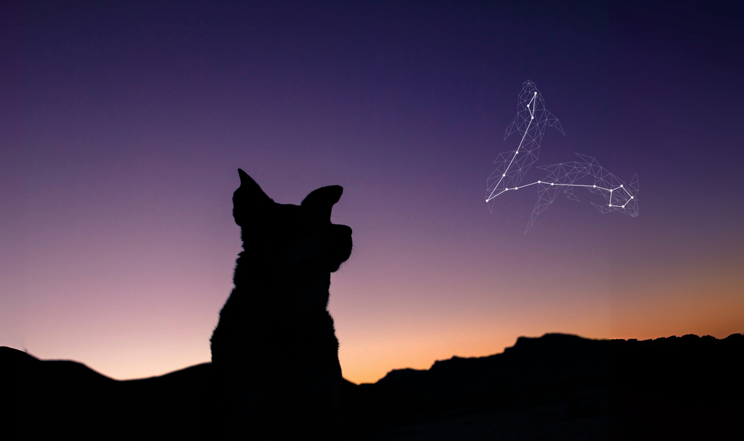 Dog Zodiac Signs: What’s Your Pup’s Snack Sign?