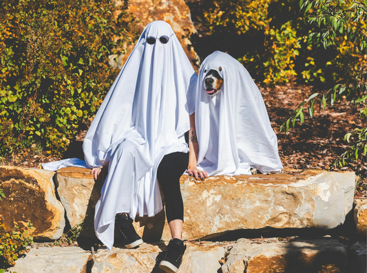 7 Tips for a Dog-Friendly (and Spook-Free!) Halloween