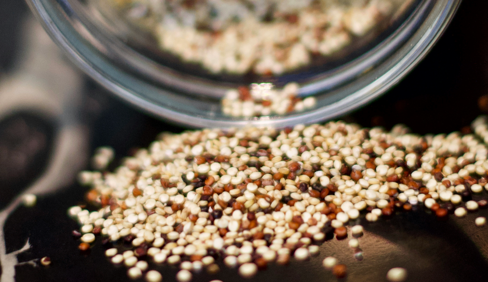 Quinoa in Dog Food: Small Seed, Big Nutritional Job