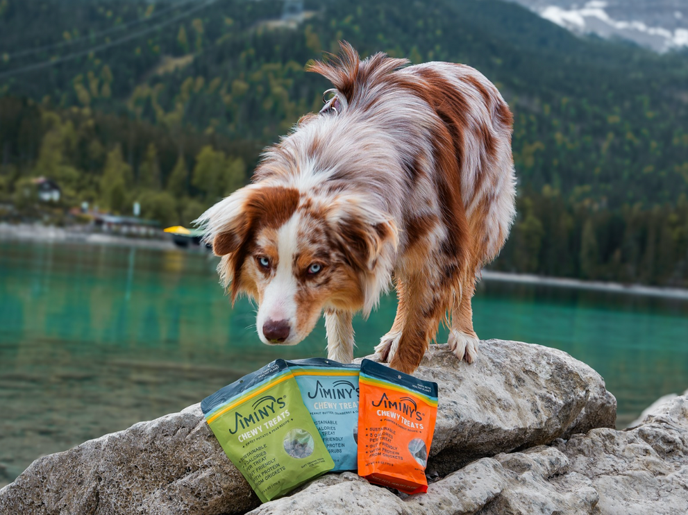 Jiminy’s wins Pet Age Editor’s Select Award 2026 for Soft & Chewy Training Treats