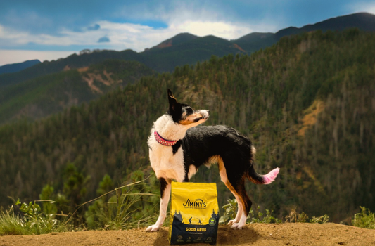 Insect Protein Sustainability