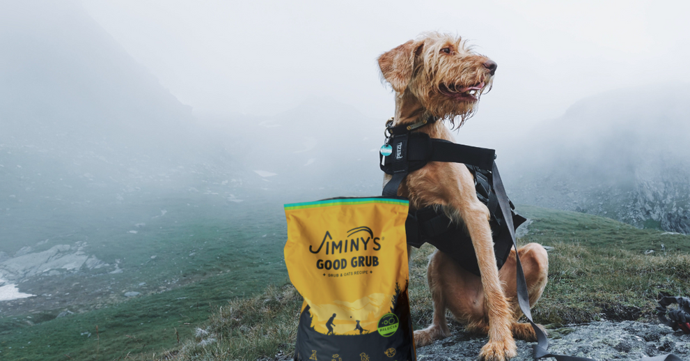 Good Grub Wins 2024 Dog Food of the Year