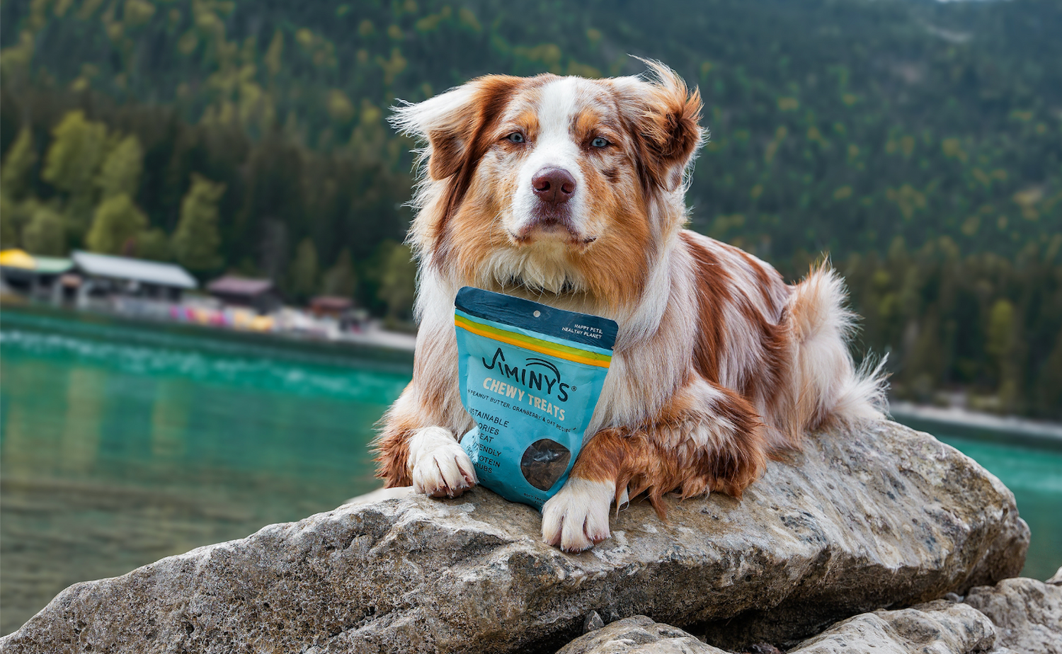 Seeing Green highlights how Jiminy’s is shrinking dogs’ carbon pawprint