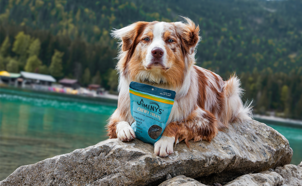 Seeing Green highlights how Jiminy’s is shrinking dogs’ carbon pawprint