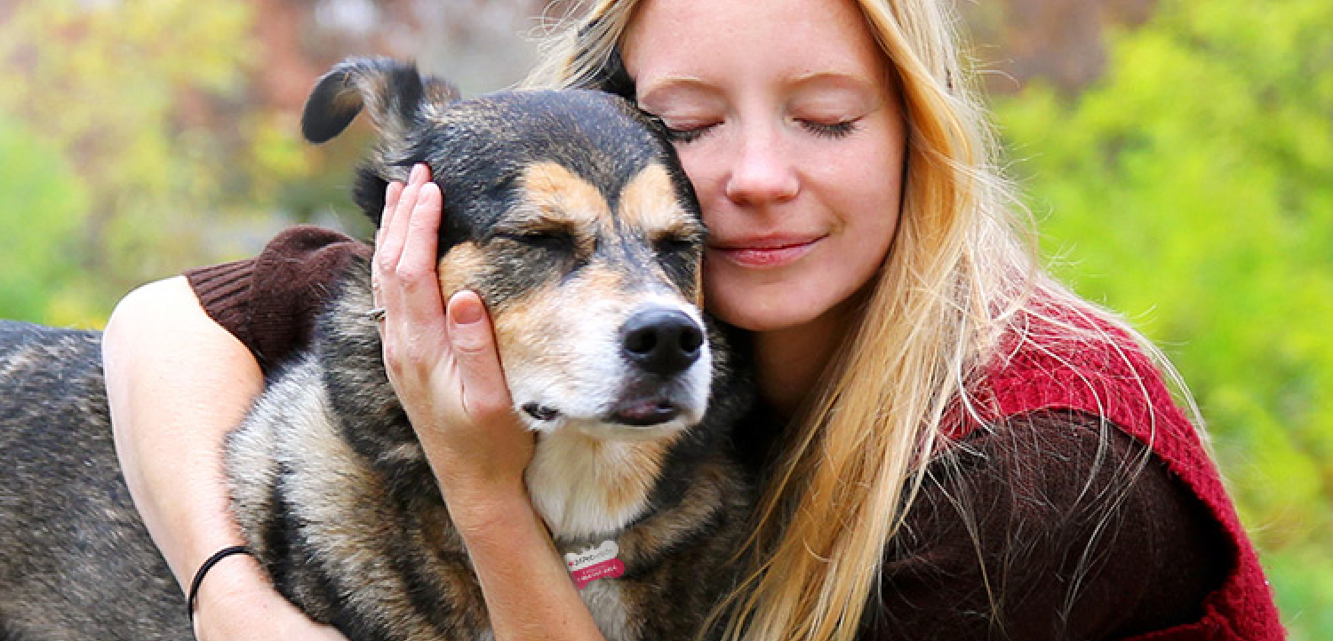 why I love my dog so much: the science, the feelings, and what it means for us