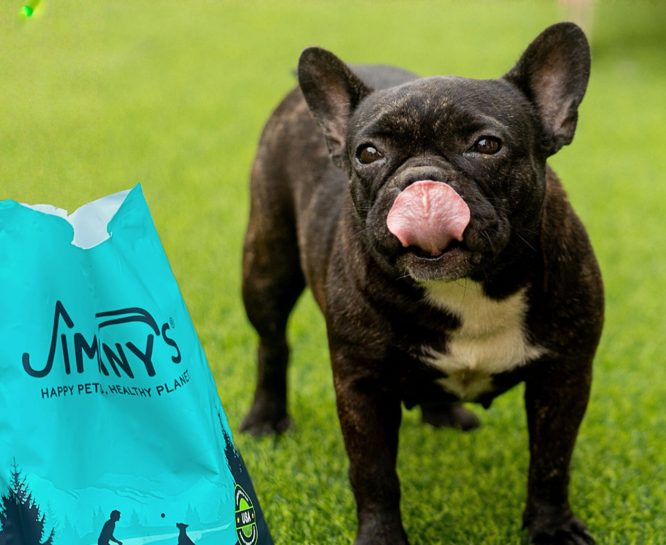 how insect protein acts as a natural prebiotic for dogs