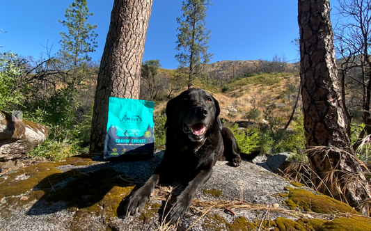 Why Cravin’ Cricket helps support better poops and less gas in dogs