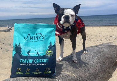 The 6-week gut reset: why eliminating triggering proteins can change everything for your dog