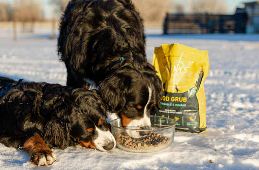GeekWire Features Jiminy’s in the Next Generation of Alternative Protein
