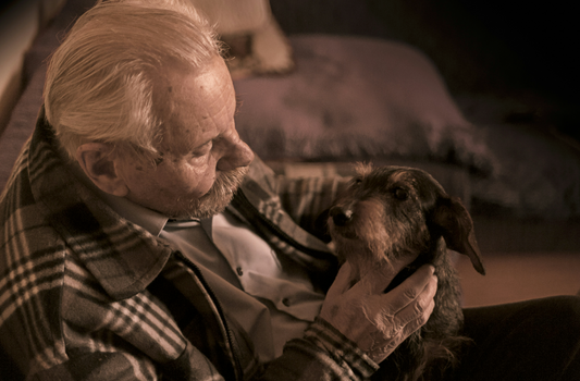 How Dogs Can Help Us Age Well and How to Return the Favor