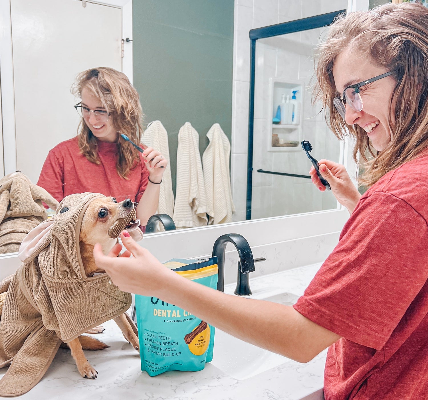 The Best Dental Chews For Your Dog