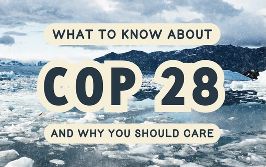 What to know about COP 28