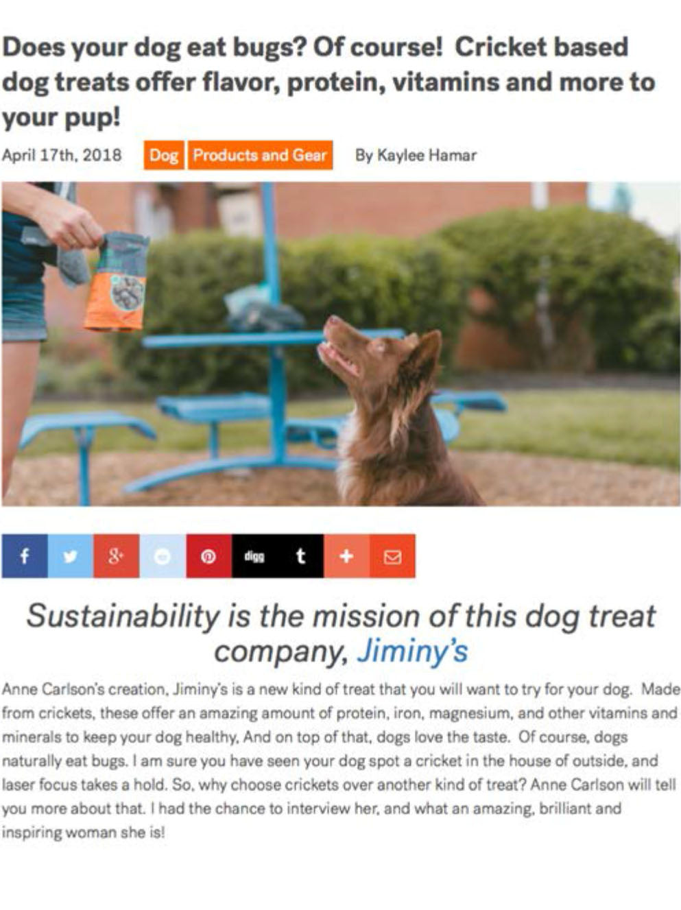 Does Your Dog Eat Bugs – Pet Treater Blog
