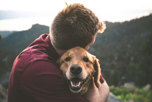 What’s That Smell? Tackling Bad Breath in Dogs