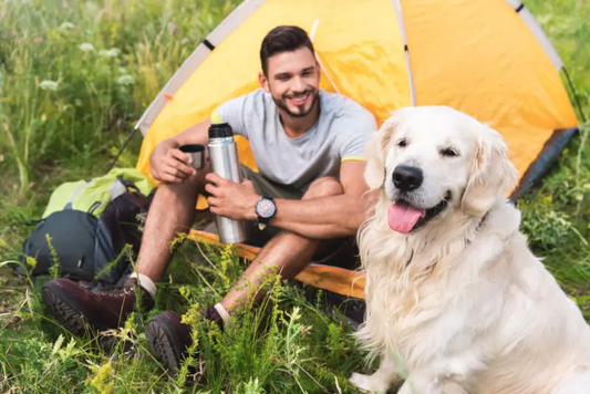 Camping With Your Dog: Tips For A Fun and Safe Outdoor Adventure